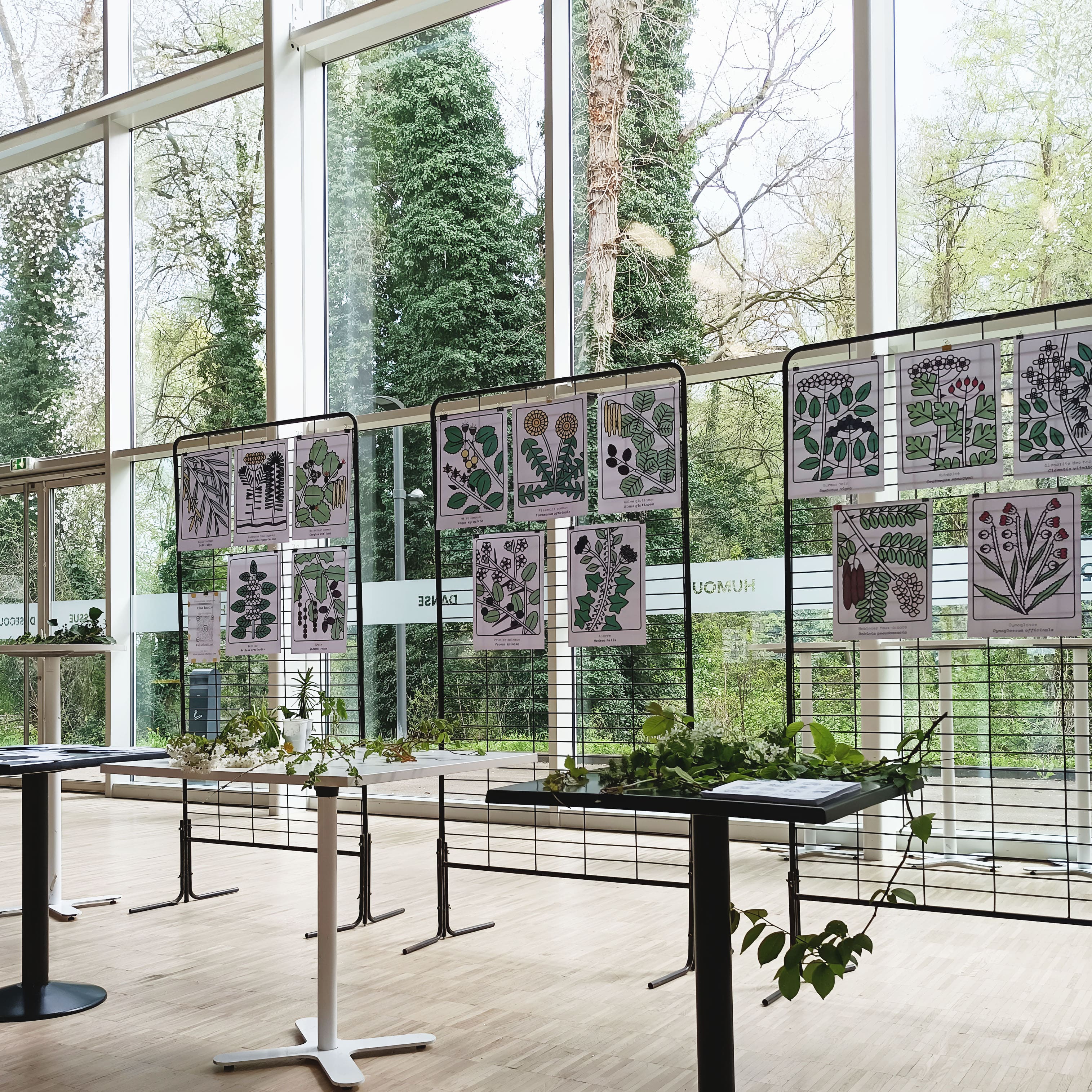 Ateliers botaniques, Curieux Festival, photo de l'atelier devinettes botaniques