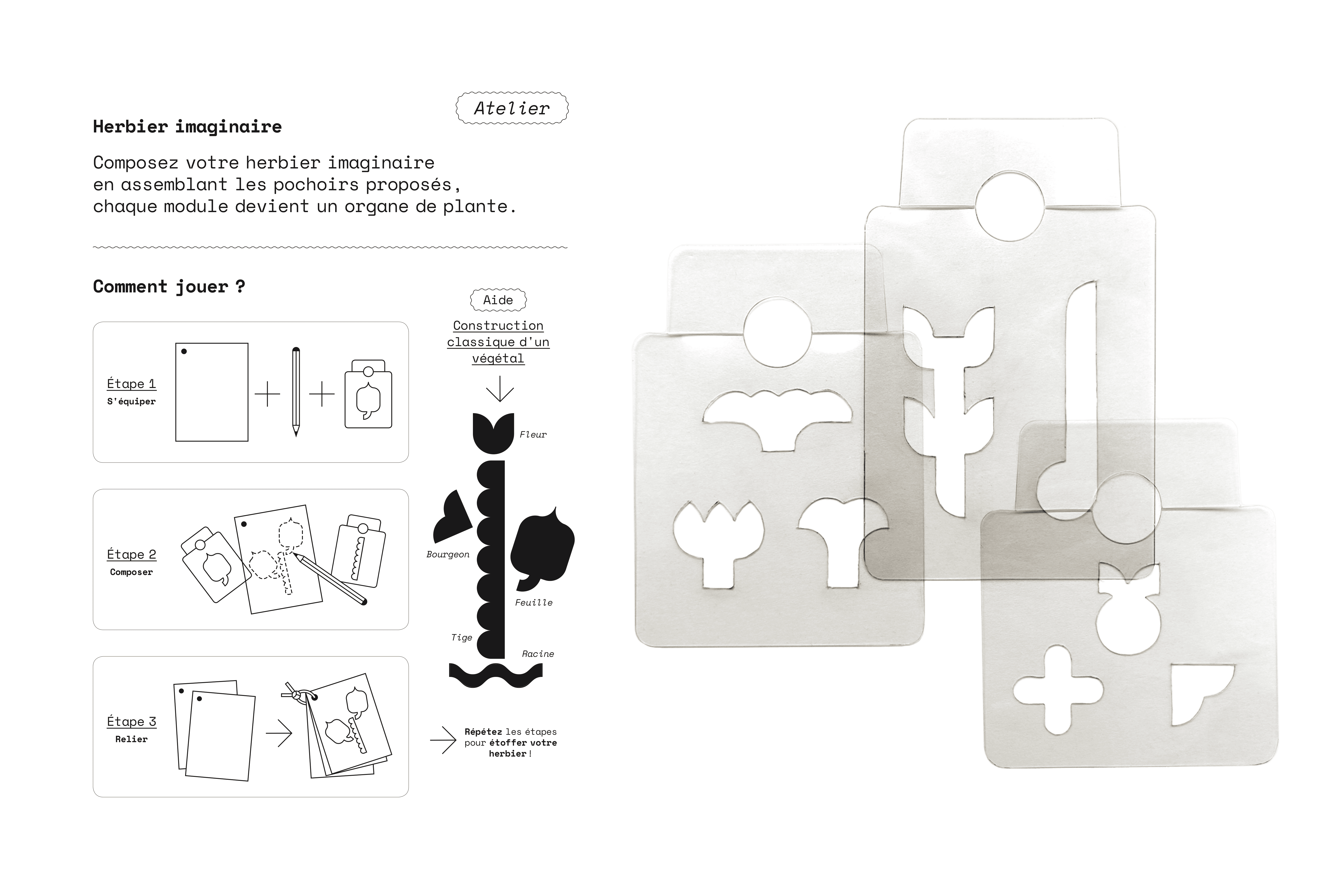 Ateliers botaniques, Curieux Festival, consignes et normographes atelier herbier imaginaire